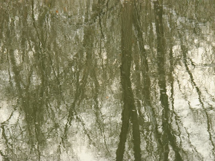 reflecting on Monet